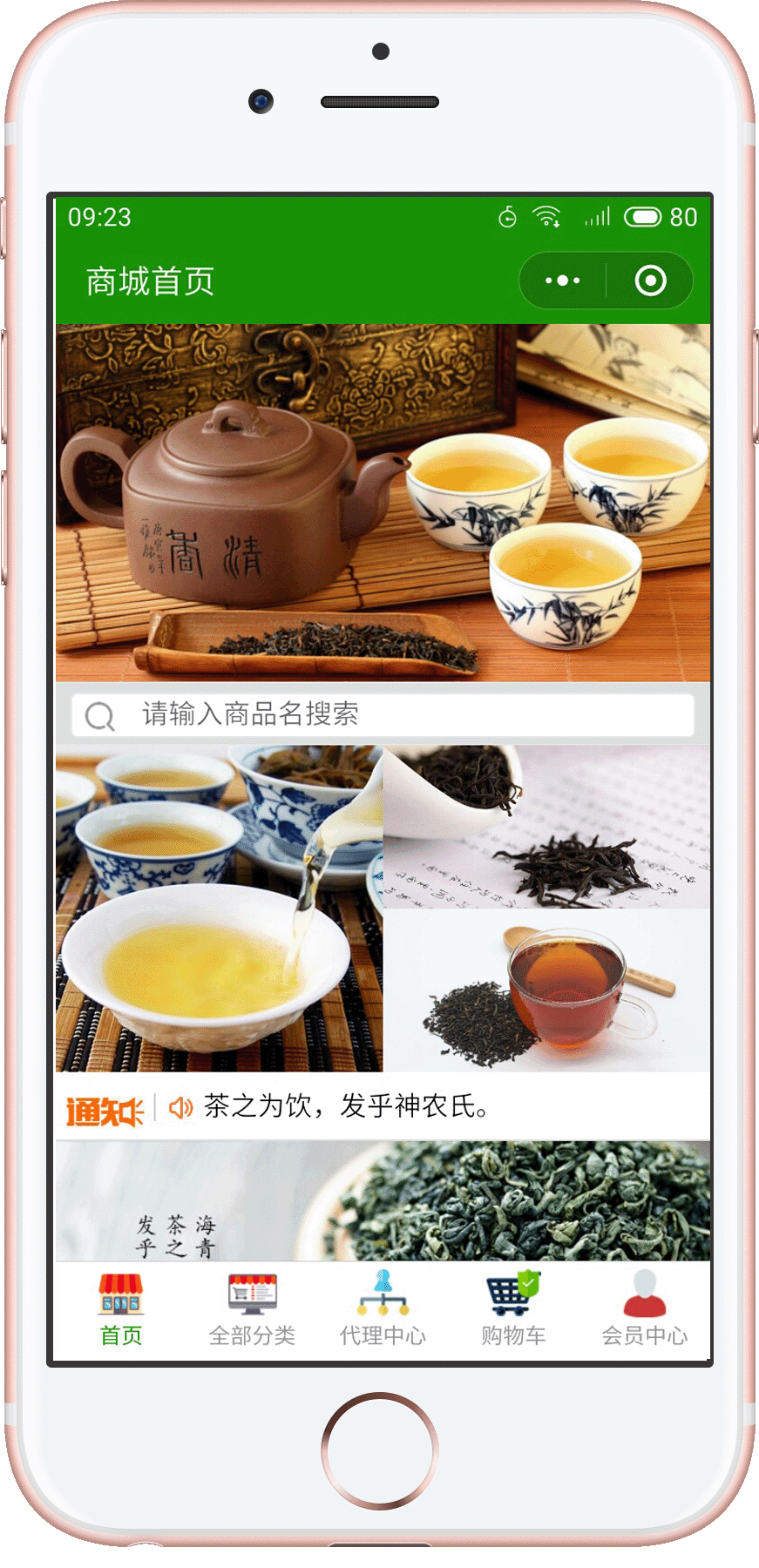 青岛海青茶案例展示